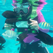 OverBoard | Large Waterproof Phone Case