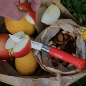 Opinel | N°08 Colorama Trekking Knife