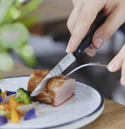 Opinel | Bon Appetit + Table Knife N°125 Pro Microserrated Blade Pack of 12