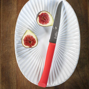 Opinel | Bon Appetit+ Table Knife N°125 - Set of 12