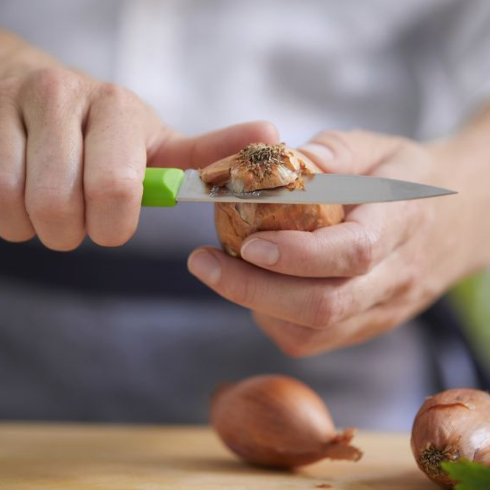 Opinel | N°312 Les Essentiels+ Paring Knife Green cutting vegetable