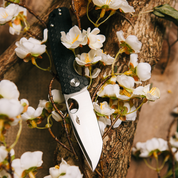 Honey Badger | Tanto D2