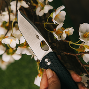Honey Badger | Tanto D2