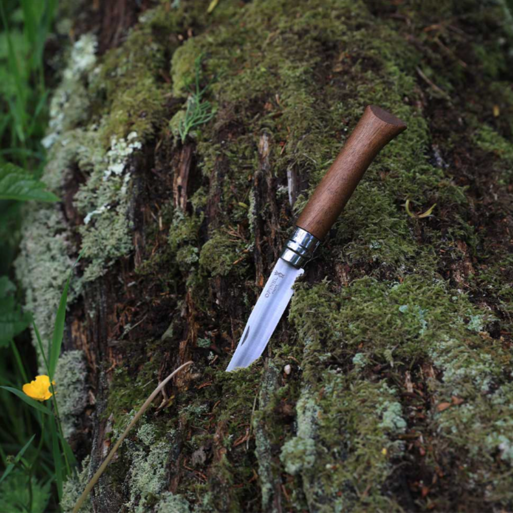 Opinel | Traditional N°08 Stainless Steel Folding Knife