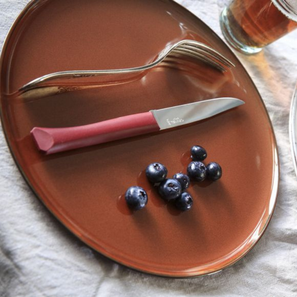 Opinel | Bon Appetit+ Table Knife N°125 - Set of 12