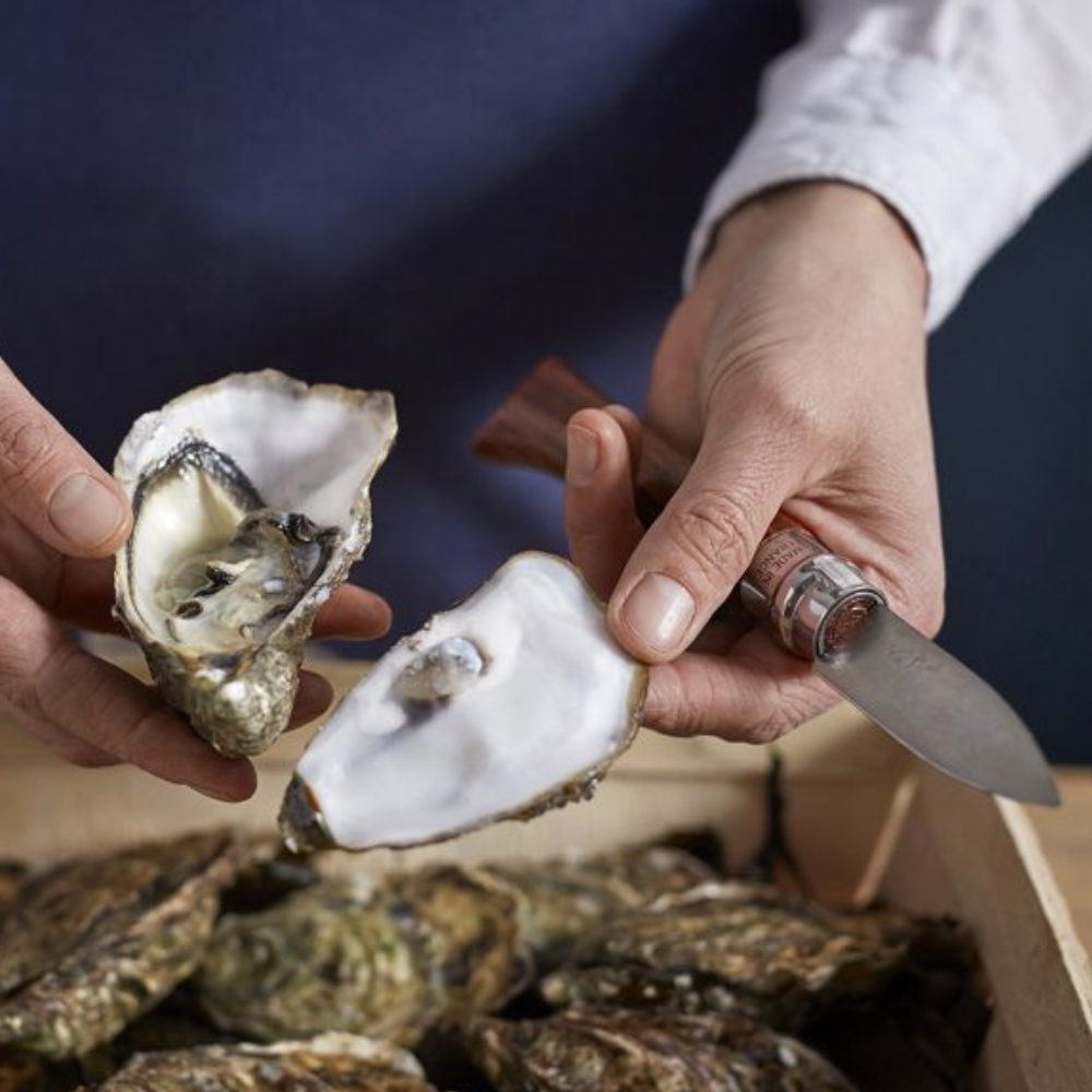 Opinel | Oysters and Shellfish Knife #09 S/S 6.5cm