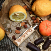 Opinel | N°08 Alpine Adventures Knife