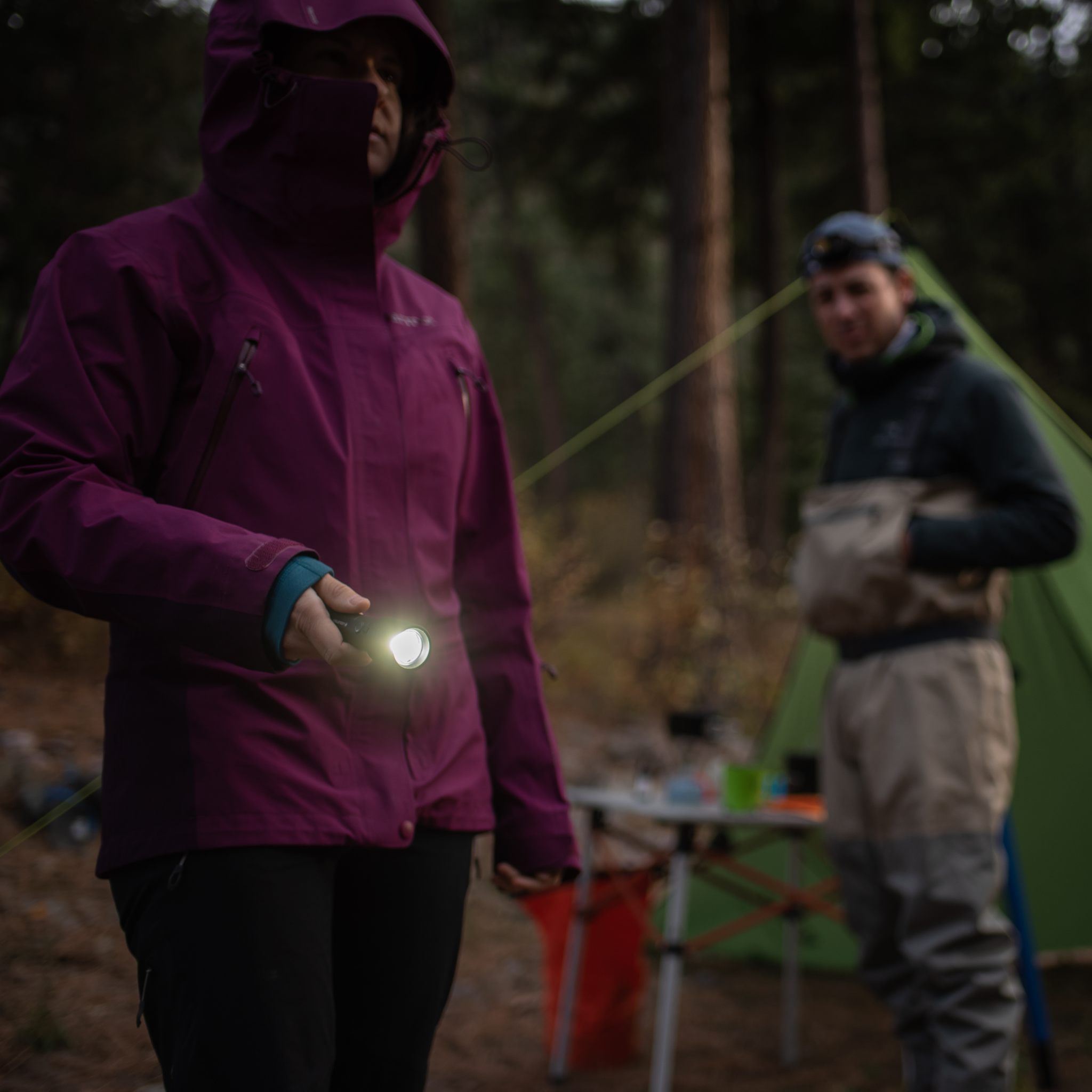 Ledlenser P7R Signature Torch
