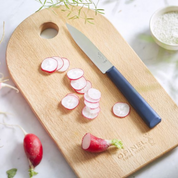 Opinel | N°312 Les Essentiels+ Paring Knife Blue on cutting board