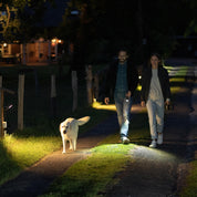 Ledlenser P7 Core Torch