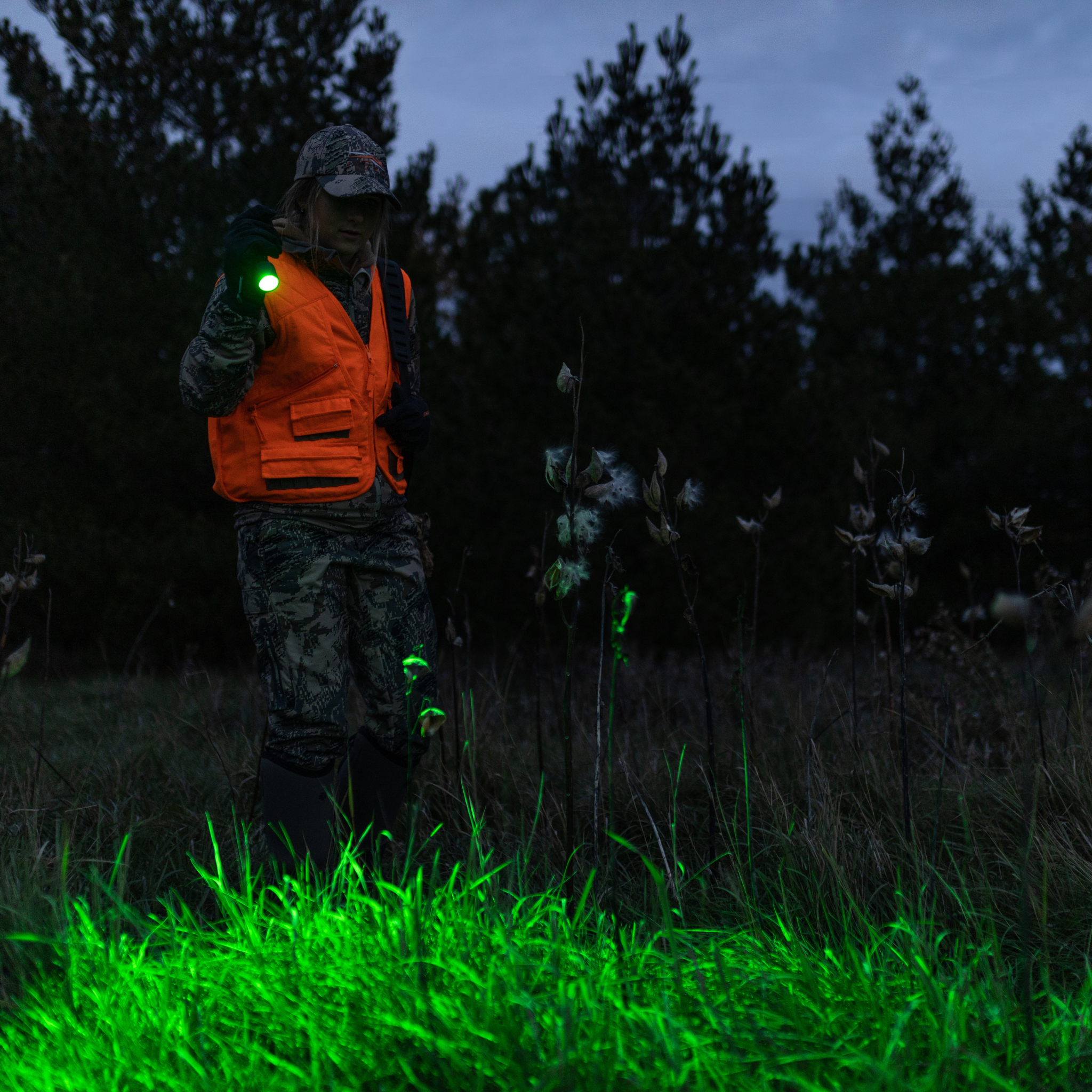 P7QC_green_light_2_831a9cc8-a158-483b-9901-0cff8c041b8b.png