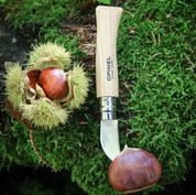 Opinel N°07 Chestnut and Garlic Knife outdoors