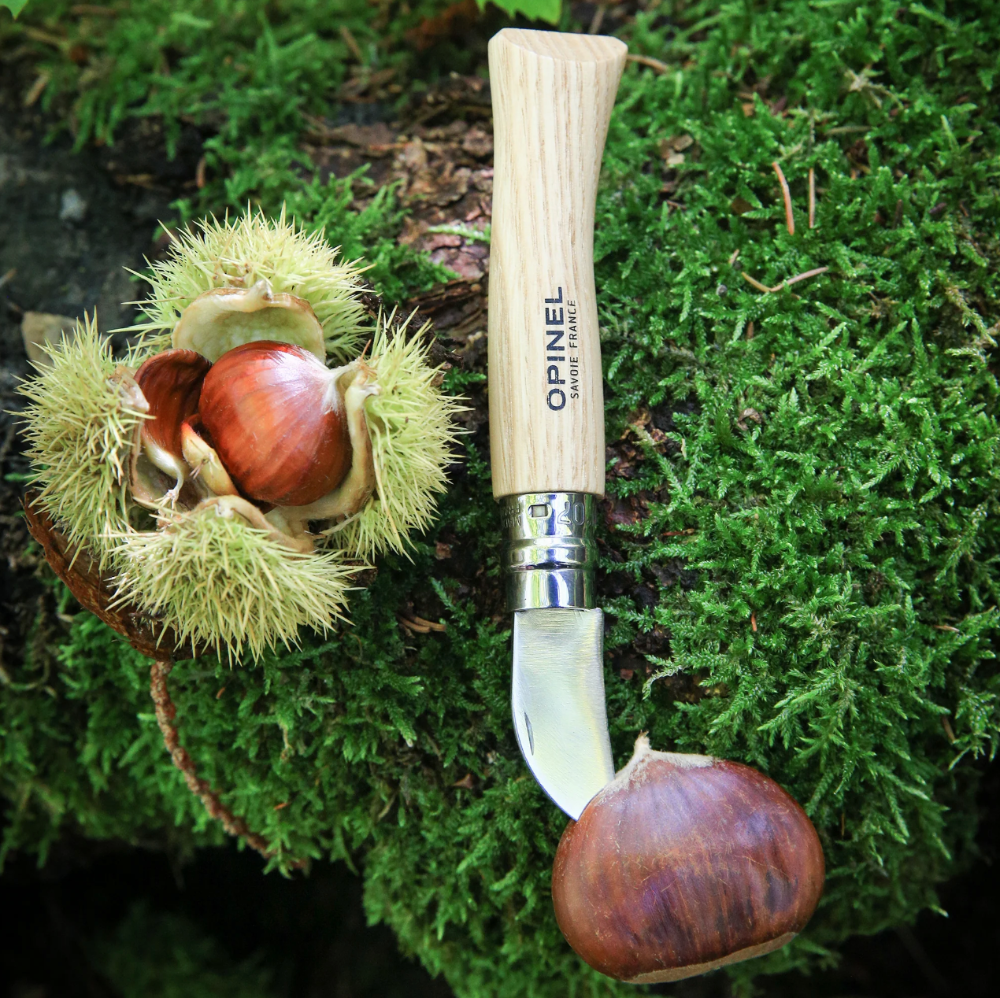 Opinel N°07 Chestnut and Garlic Knife outdoors