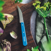 Opinel | Les Essentiels Vegetable Knife N°114 Paysage