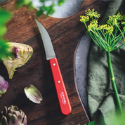 Opinel | Les Essentiels Vegetable Knife N°114 Paysage