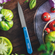 Opinel | Paring Knife N°113 - Paysage