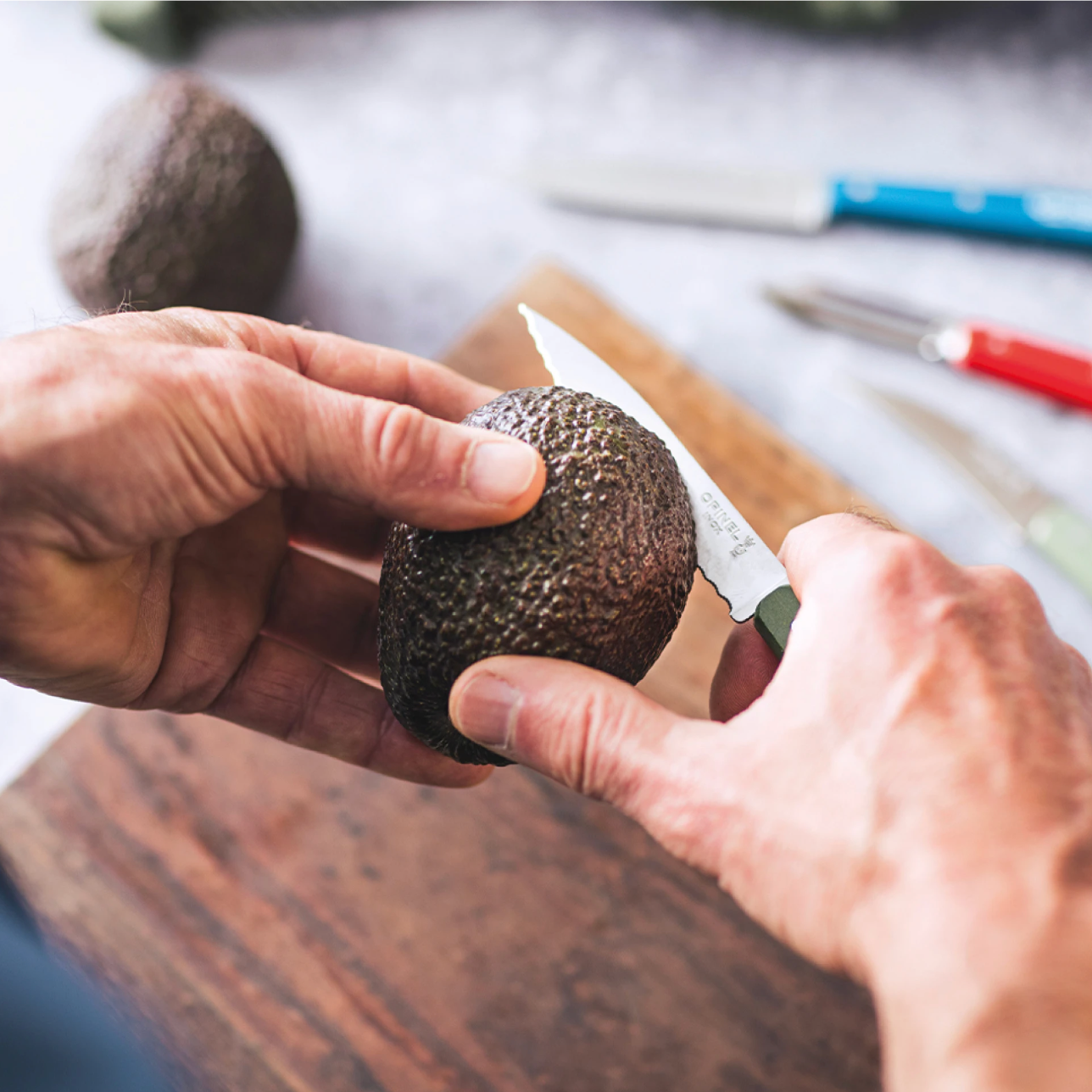 Opinel | Paring Knife N°113 - Paysage
