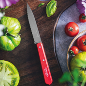 Opinel | Paring Knife N°113 - Paysage