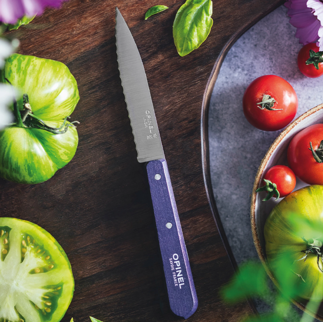 Opinel | Paring Knife N°113 - Paysage