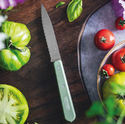Opinel | Paring Knife N°113 - Paysage
