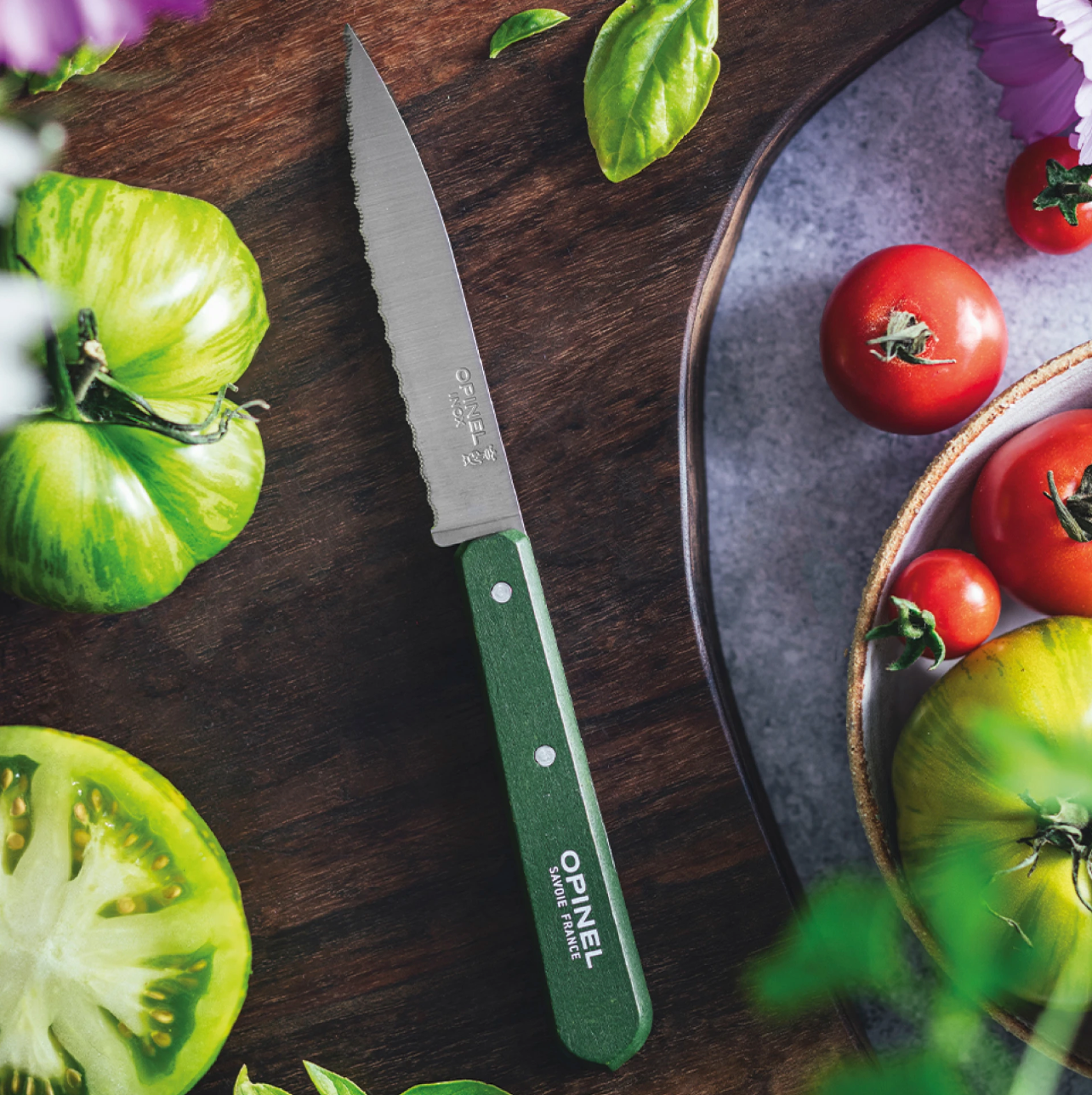 Opinel | Paring Knife N°113 - Paysage