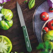 Opinel | Paring Knife N°113 - Paysage