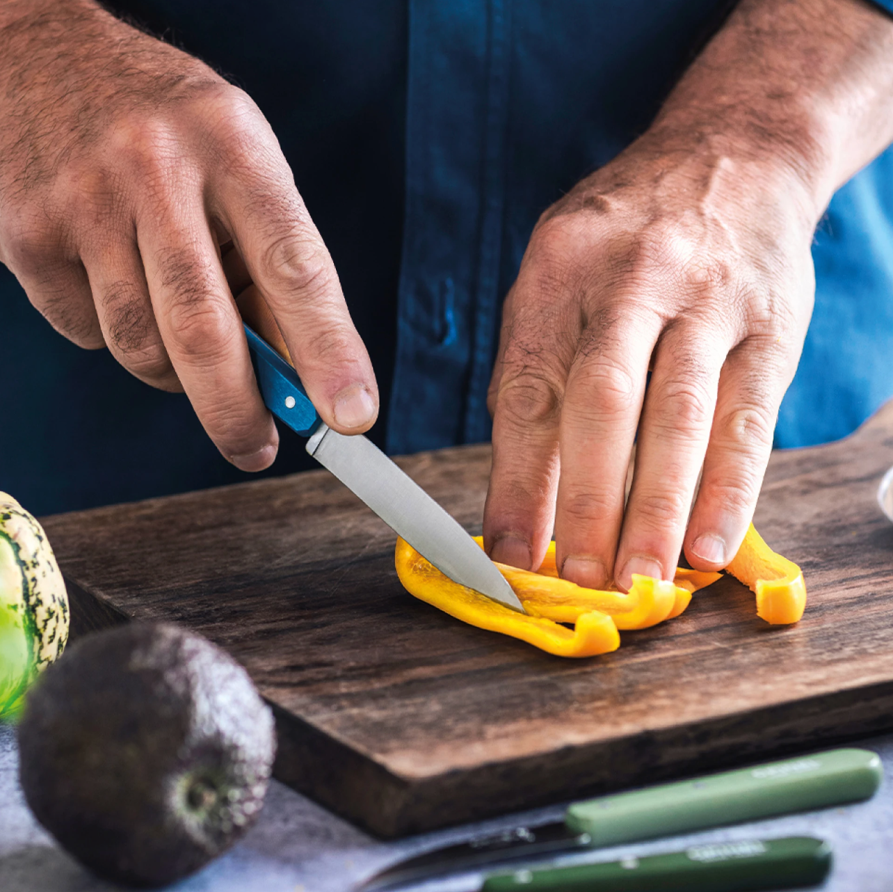 Opinel | Paring Knife N°112 - Paysage
