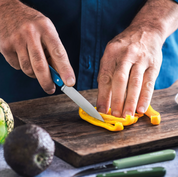 Opinel | Paring Knife N°112 - Paysage