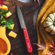Opinel | Paring Knives N°112 Paysage - Set of 4