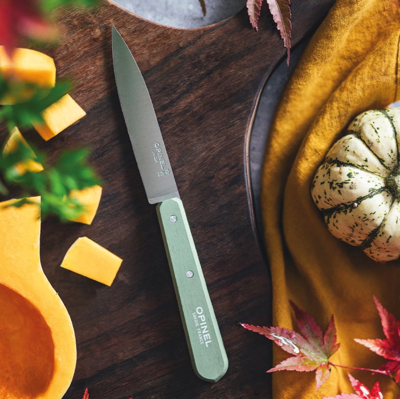 Opinel | Paring Knives N°112 Paysage - Set of 4