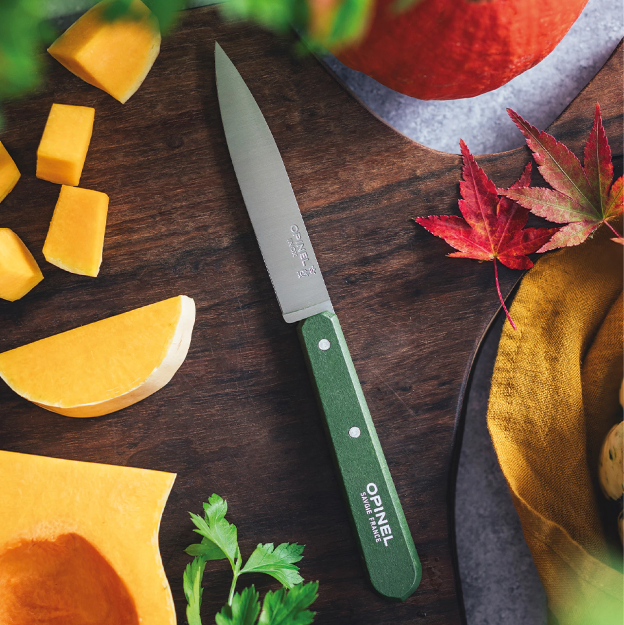Opinel | Paring Knives N°112 Paysage - Set of 4