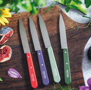 Opinel | Paring Knives N°112 Paysage - Set of 4