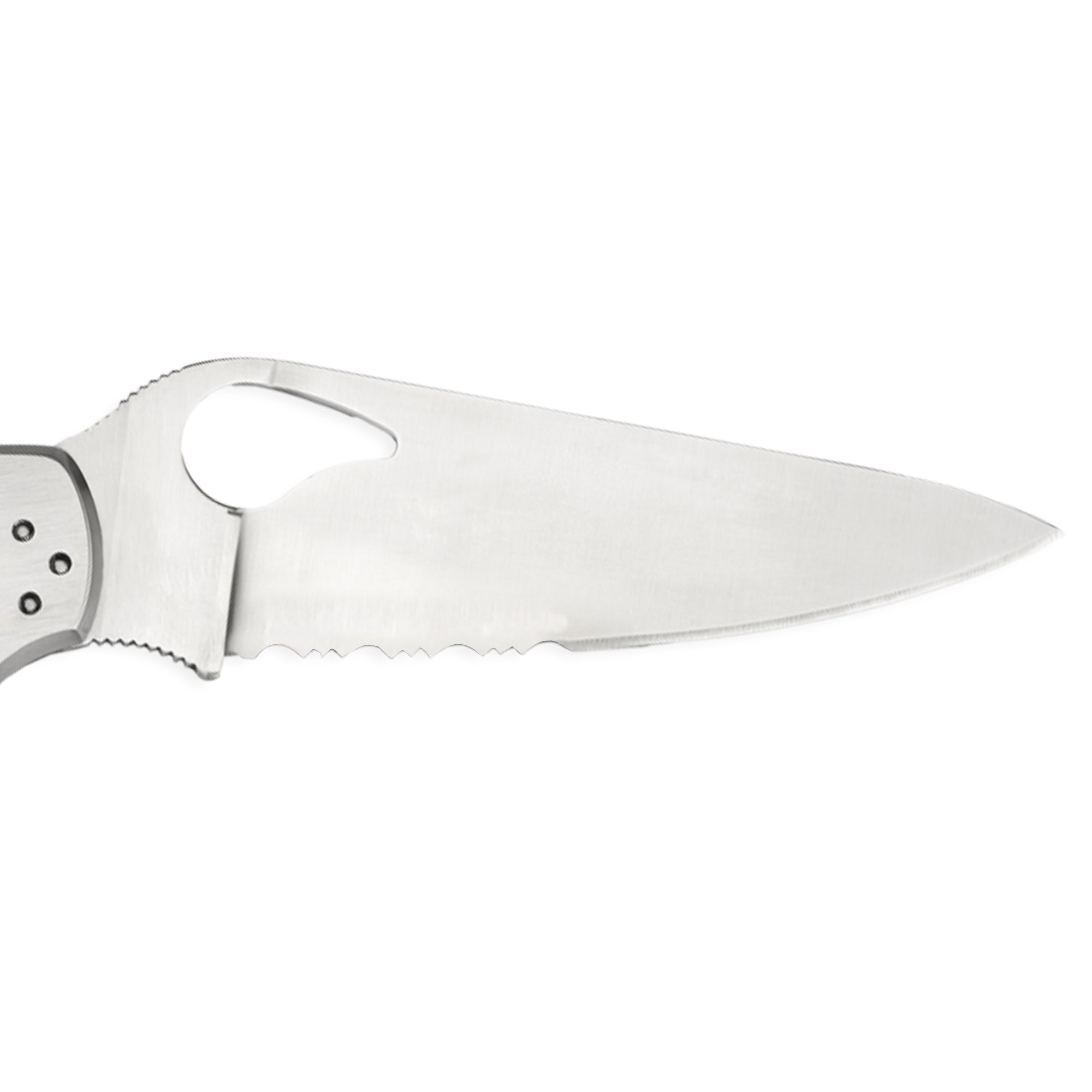 Spyderco | CARA CARA® 2 STAINLESS