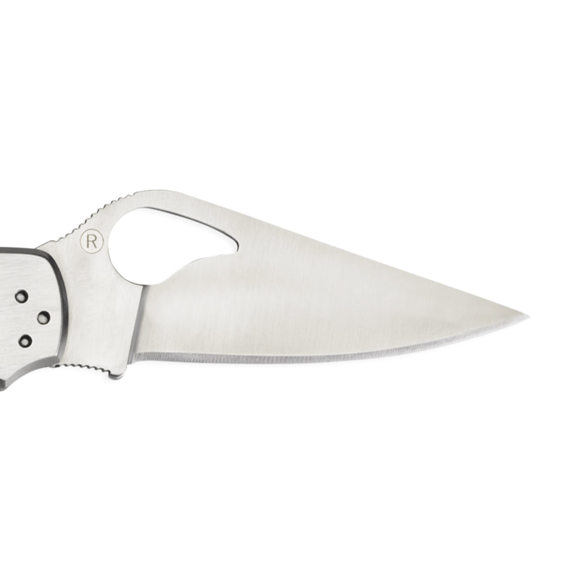 Spyderco | Meadowlark® 2 Stainless