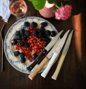 Opinel | Facette Table Knives 4PC Set
