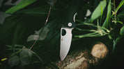 Honey Badger | Leaf