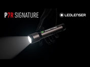 Ledlenser P7R Signature Torch