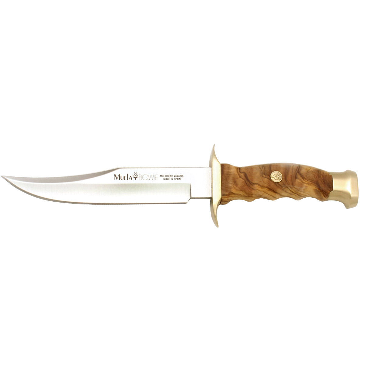 Muela | Bowie 16 - Olive Wood Handle Knife