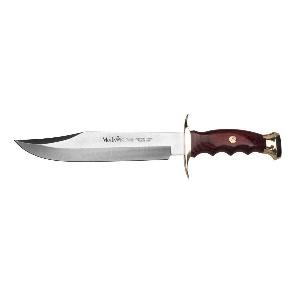Muela | Bowie 22 - Coral Wood Handle Knife