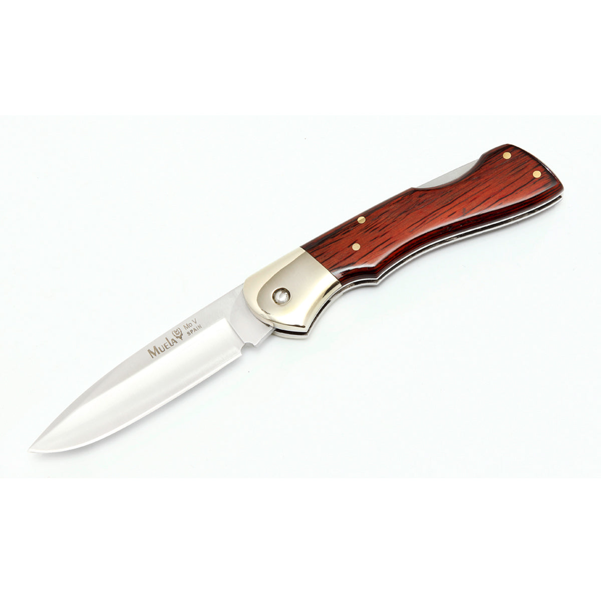 Muela | BX-8R Lockback - Coral Handle Knife