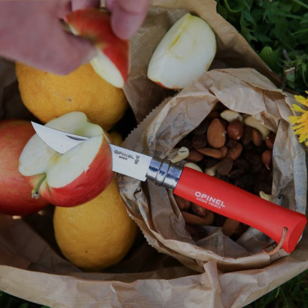 Opinel | No.08 Colorama Trekking Knife