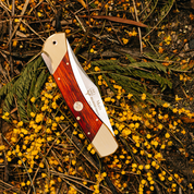 Muela | BX-8R Lockback - Coral Handle Knife