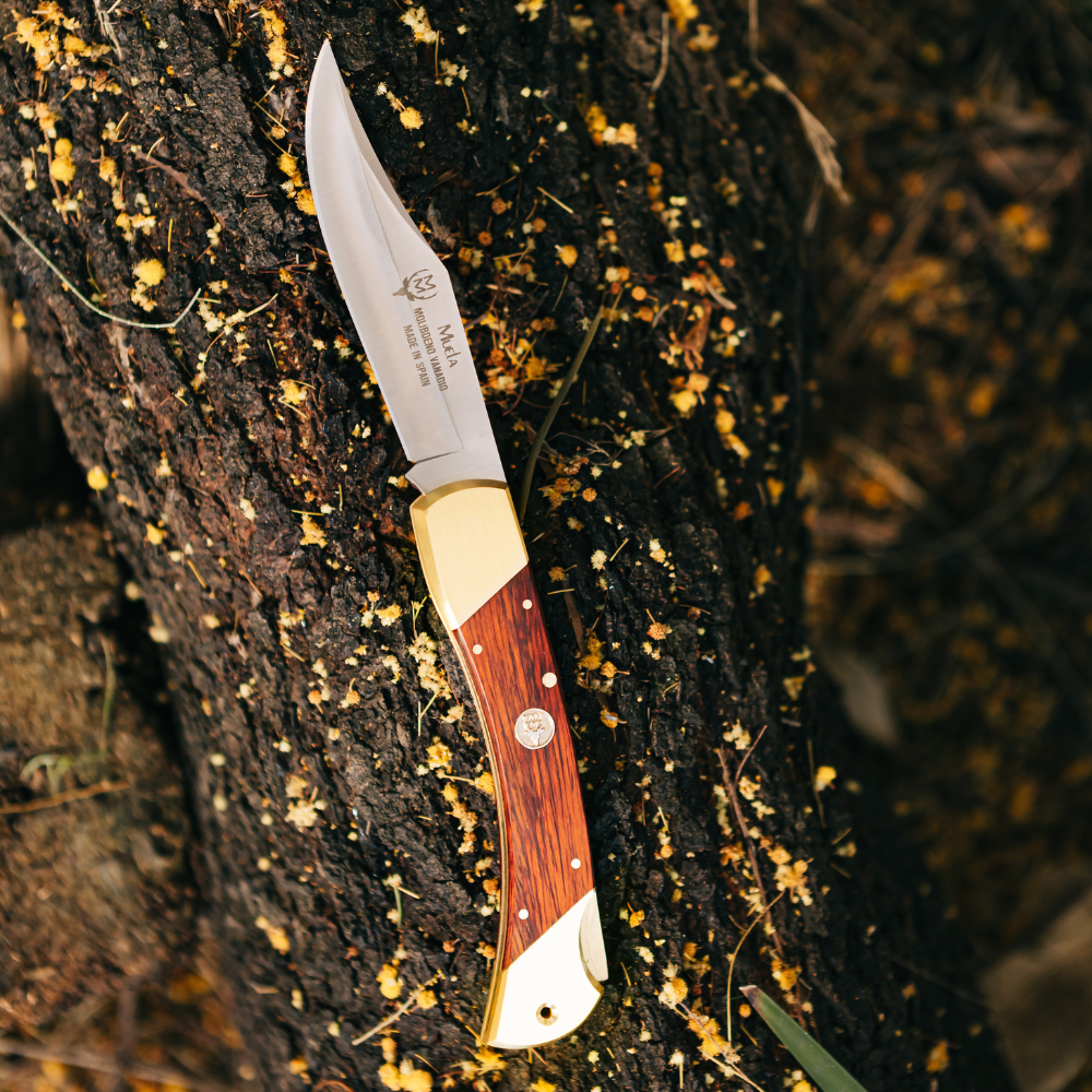 Muela | BX-8R Lockback - Coral Handle Knife