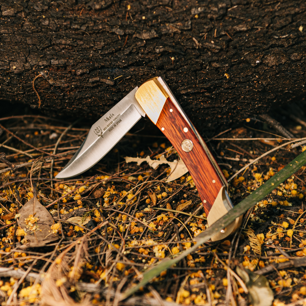 Muela | BX-8R Lockback - Coral Handle Knife