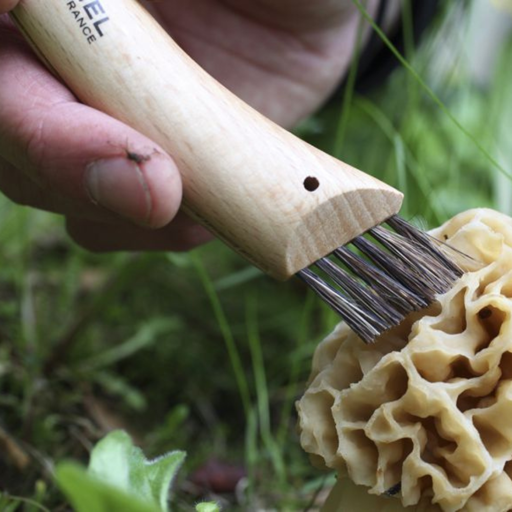 Opinel | Mushroom Knife #08 S/S 8cm + Sheath Oak Wood Handle in Wooden Gift Box