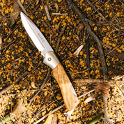 Muela | BX-8.OL Lockback - Olive Handle Knife