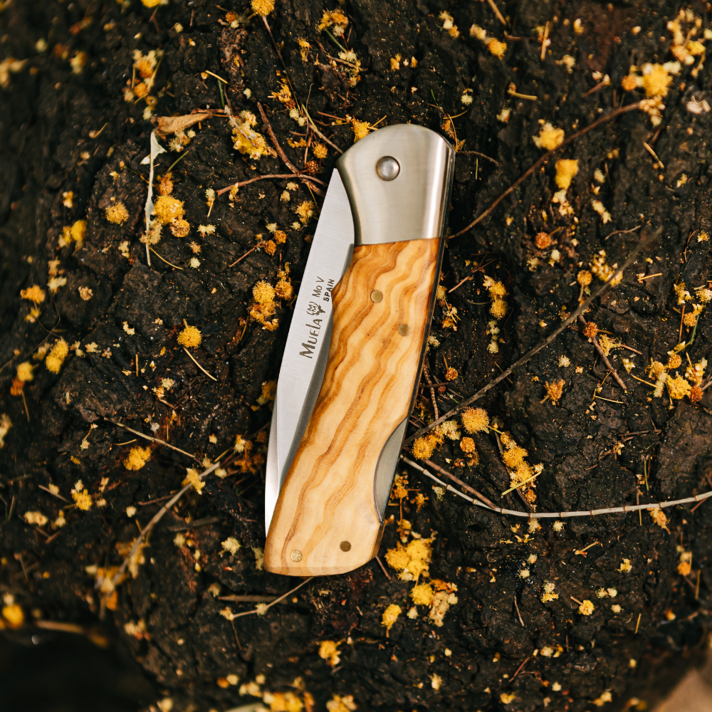 Muela | BX-8.OL Lockback - Olive Handle Knife