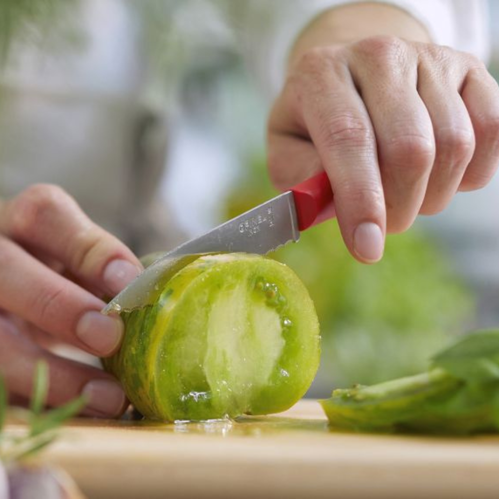 Opinel | #313 Les Essentiels+ Serrated Paring Knife