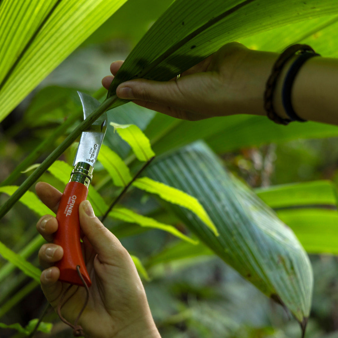 Opinel | Stainless & Carbon Steel Garden Knife Trio