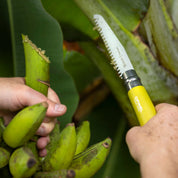 Opinel | Stainless & Carbon Steel Garden Knife Trio